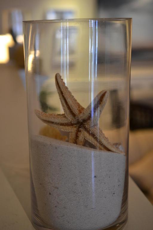 פרובינסטאון Anchor Inn Beach House מראה חיצוני תמונה